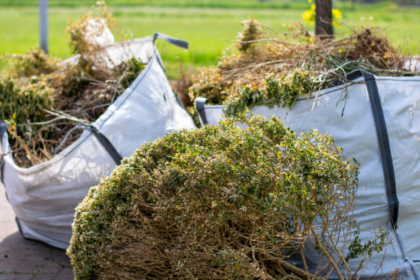 Best Mattress Removal Service  in Luna Pier, MI